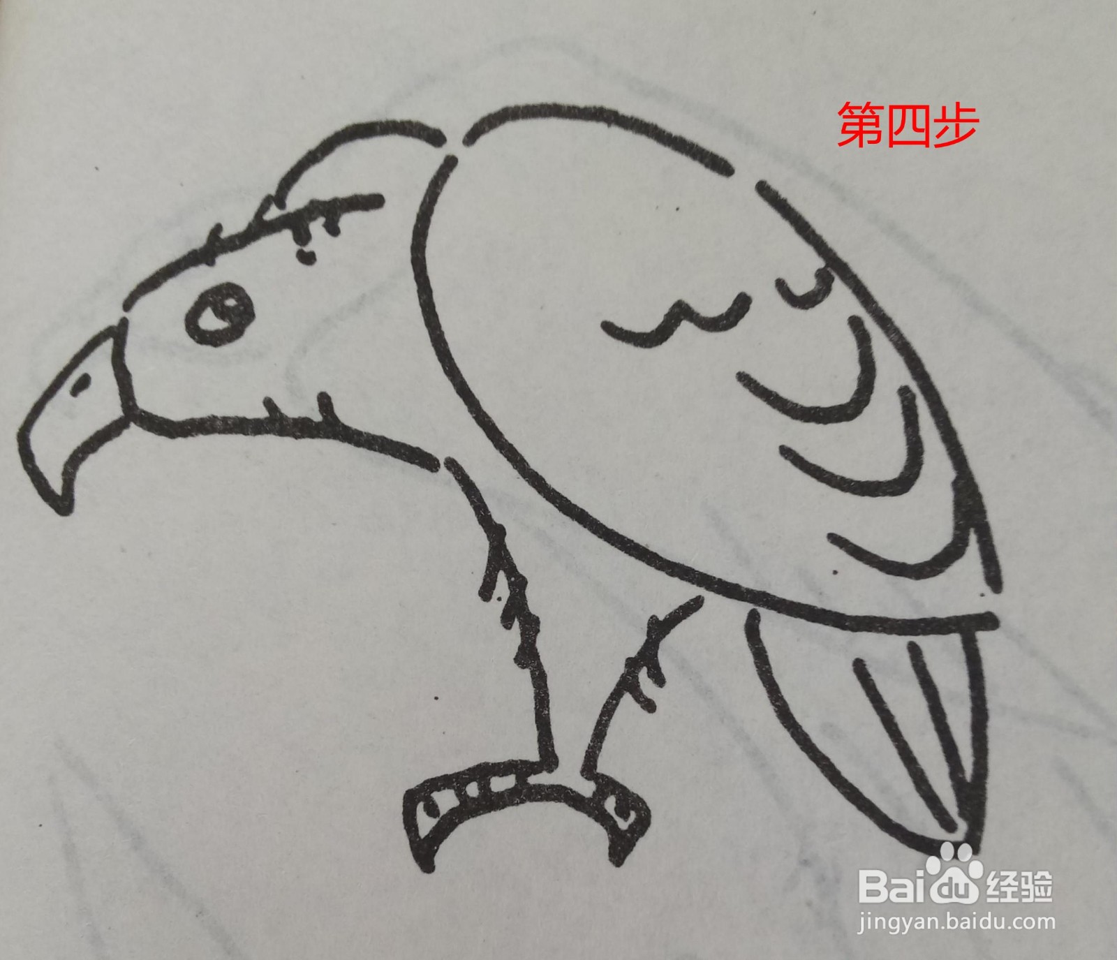 鹰的简笔画的画法