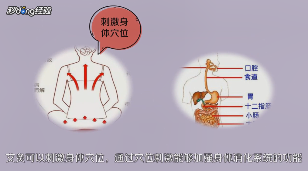 三伏天艾灸的四大好处有哪些
