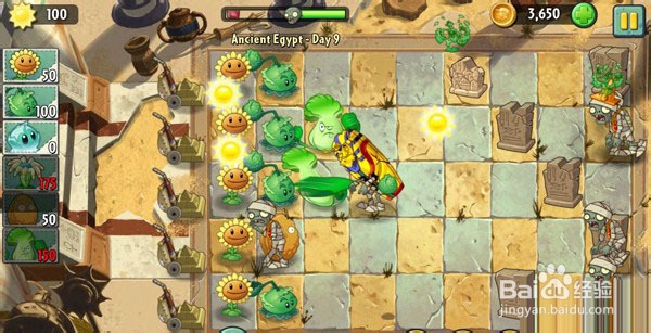 《植物大战僵尸2》通关图文攻略ios版---第八关