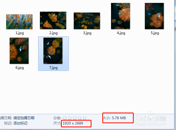 POCO作品相册照片批量下载采集的简单方法