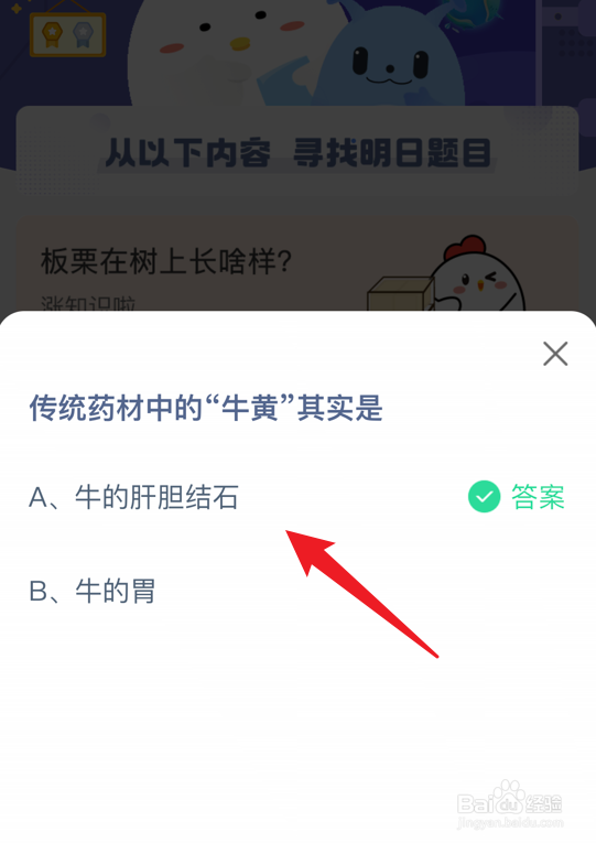 蚂蚁庄园小课堂传统药材中的牛黄其实是什么