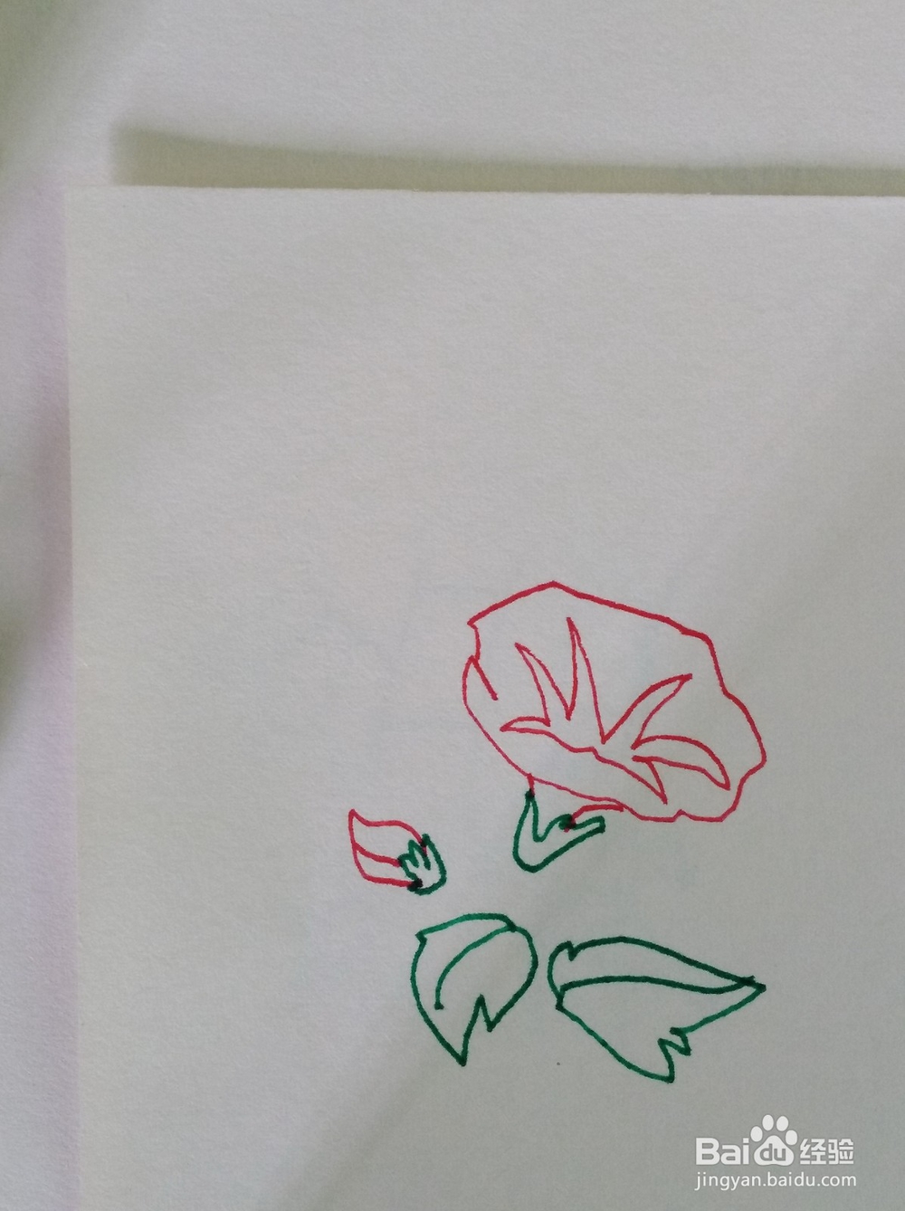 简笔画画喇叭花