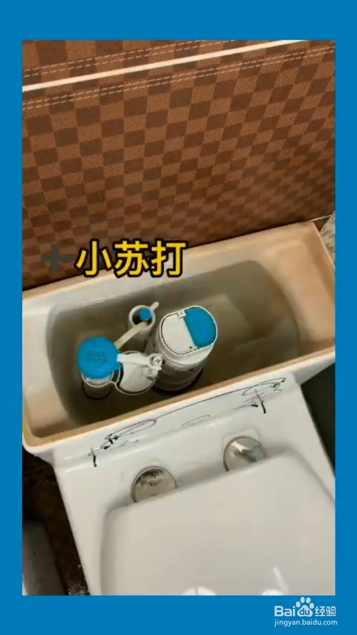 如何处理马桶的异味