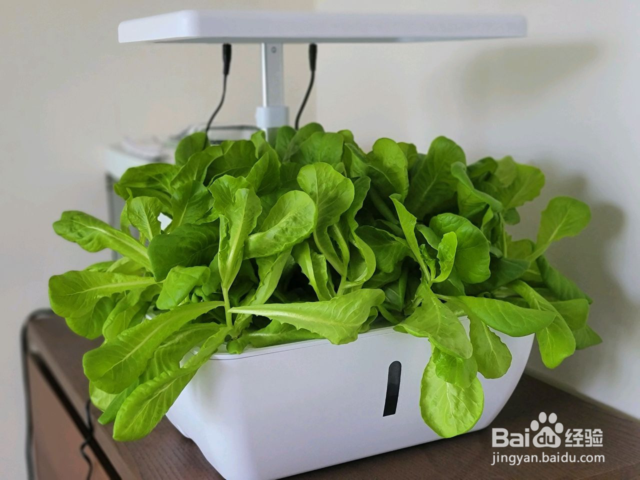 超简单的鸡蛋面的做法