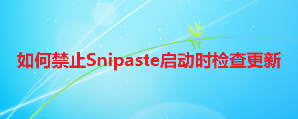 如何禁止Snipaste启动时检查更新