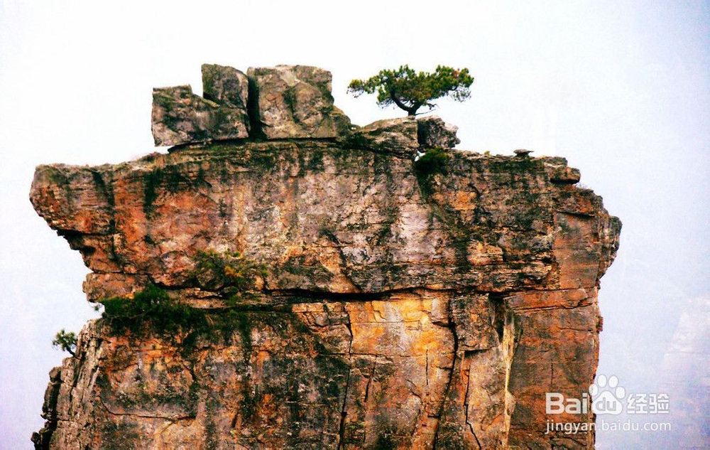 长沙到张家界自驾游