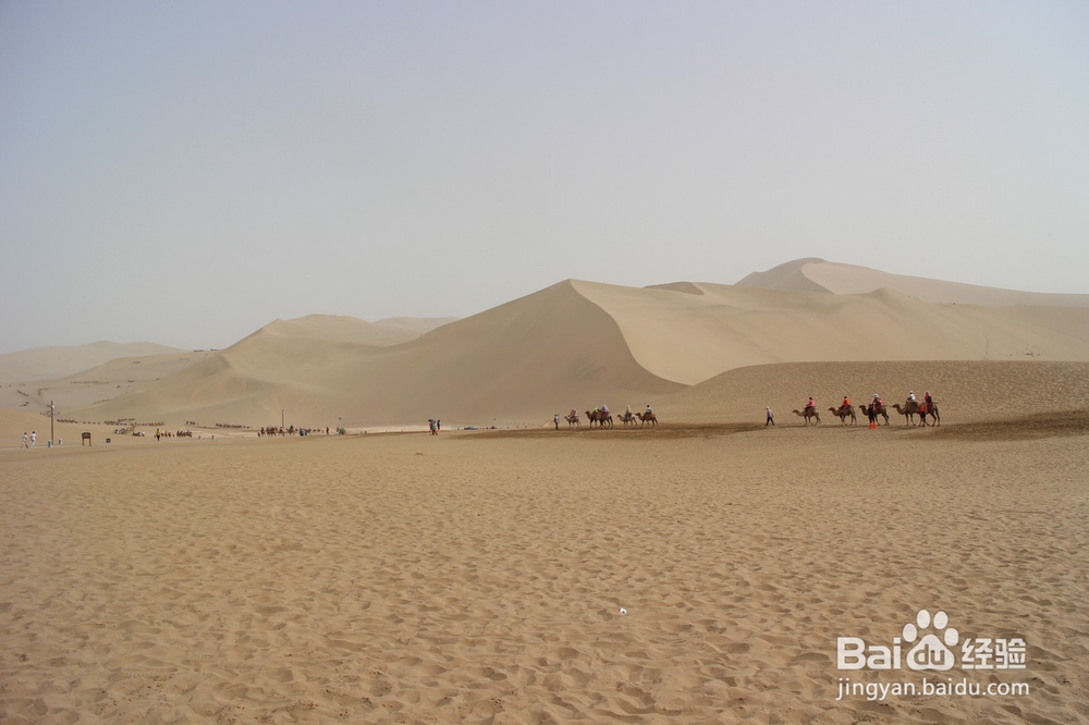 青海甘肃宁夏旅游攻略