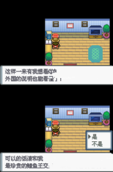 口袋妖怪钻石二周目图文攻略
