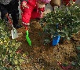 如何帮助孩子调整自己，激发学习和生活的动力