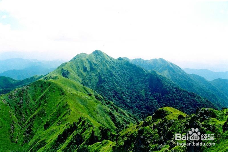 龙南九连山旅游攻略