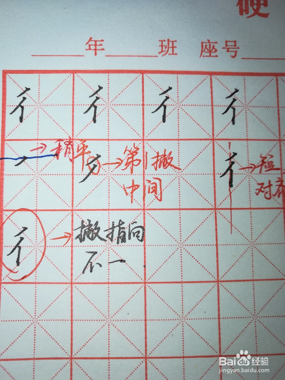 “双人旁”怎样写好看（硬笔楷书）？