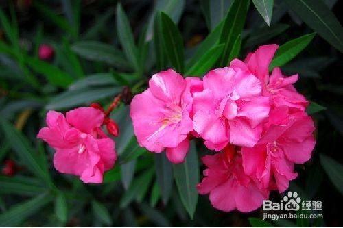 夏季养生四类食物别碰!