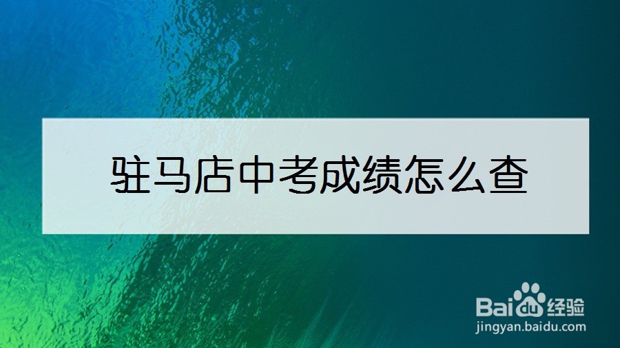 驻马店中考成绩怎么查