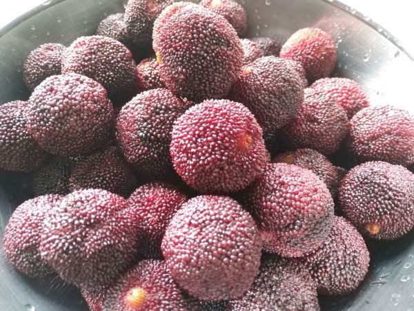 荔枝杨梅冰糖饮