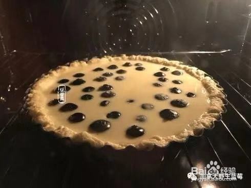 爆浆乳酪野生蓝莓派