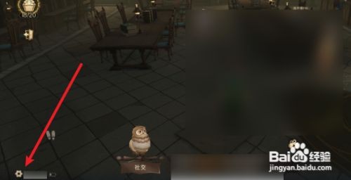 哈利波特魔法觉醒怎么清理缓存