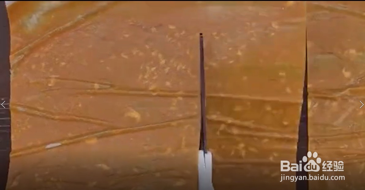 如何将芒果制成芒果卷