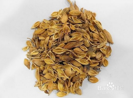 热伤风后推拿和食疗的方法（上）