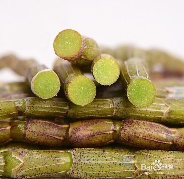 铁皮石斛的最全食用方法