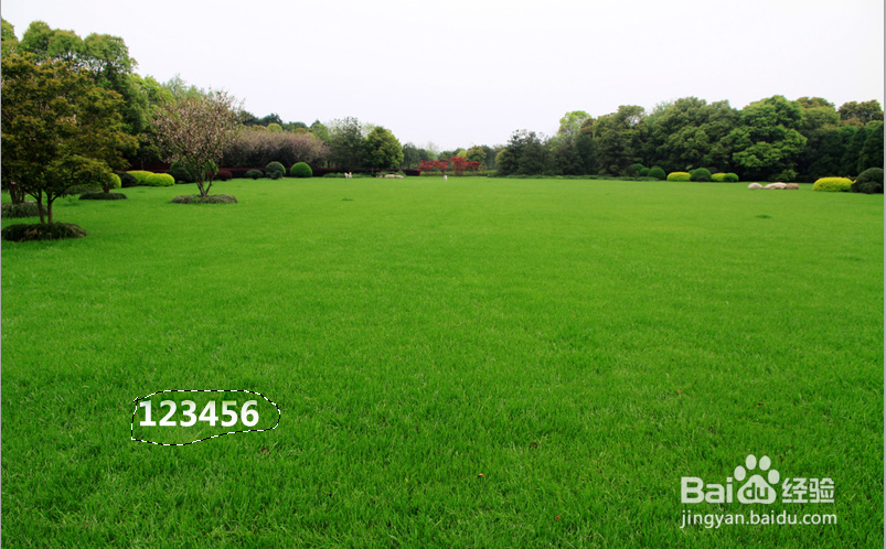 各种不同的去水印的方法