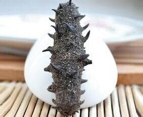 如何分辨假海参