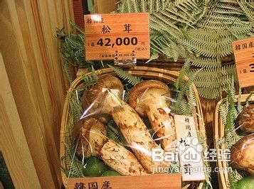 怎样更好的辨别和食用蘑菇