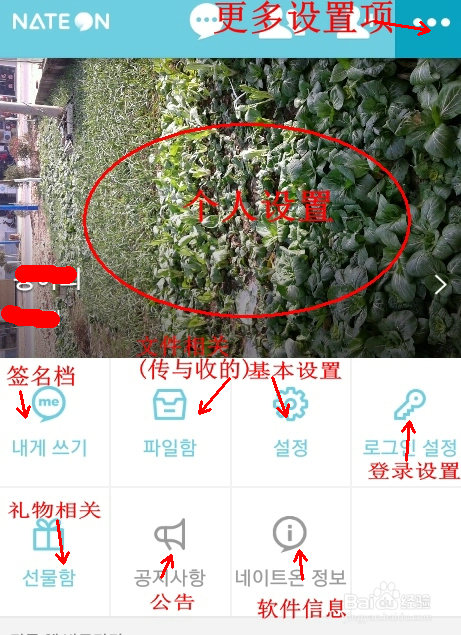 教你怎样使用全程翻译Nateon