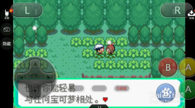 精灵宝可梦冰雪城攻略