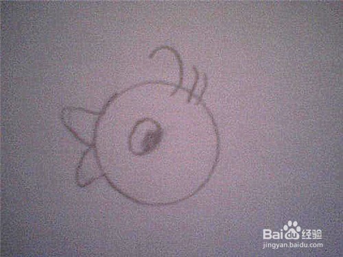 简笔画小鸟的画法：