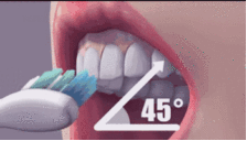 改良Bass刷牙方法教你正确刷牙