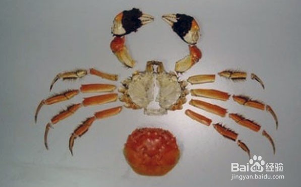 体验蟹八件“文吃”螃蟹!