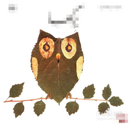 如何在大自然中锻炼孩子的动手能力