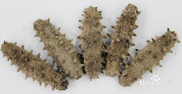 如何区分干海参的好坏