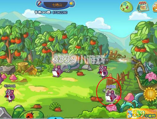 卡布西游飞天遁地之争攻略