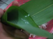 西米粽子的做法