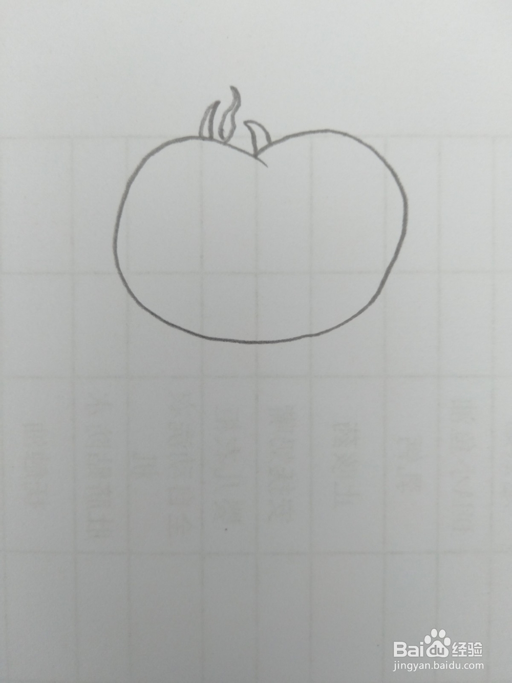 简笔画柿子画法三