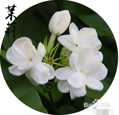 如何才能避免蚊虫叮咬