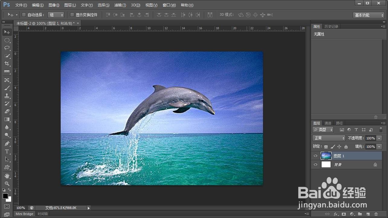 如何在PS中测量图片中的图像的长度尺寸?