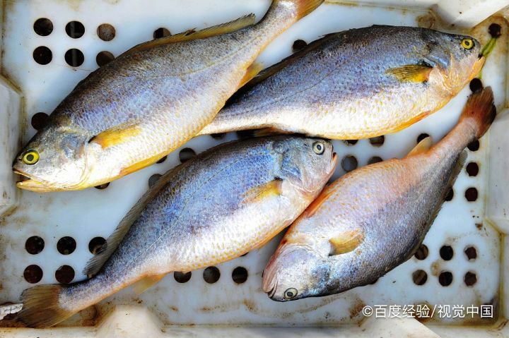 怎么做雪菜黄鱼
