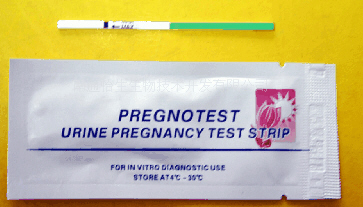 绝对受孕经验分享！