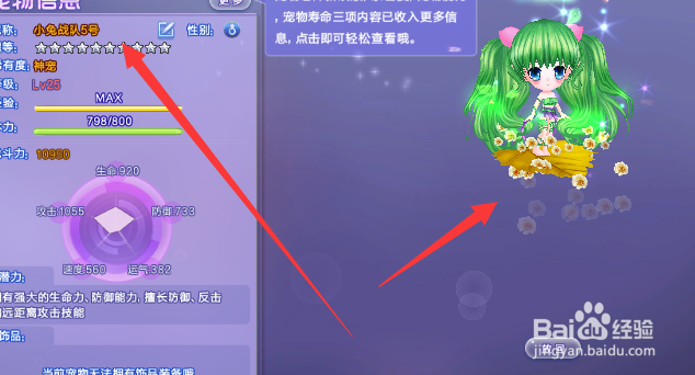 炫舞仙灵幻境宠物详细玩法攻略