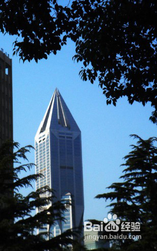 摄影构图的十大禁忌