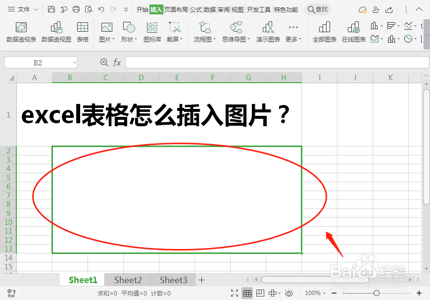 excel表格怎么插入本地图片？
