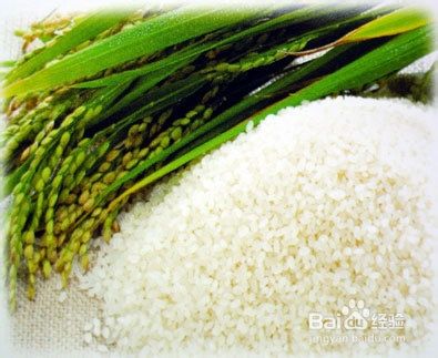 吃大米能减肥吗[图]