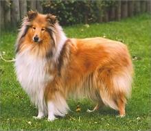 1岁半点点知道“名字”的意义