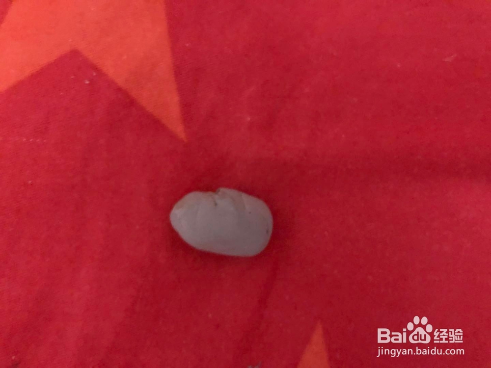 制作可爱的小熊