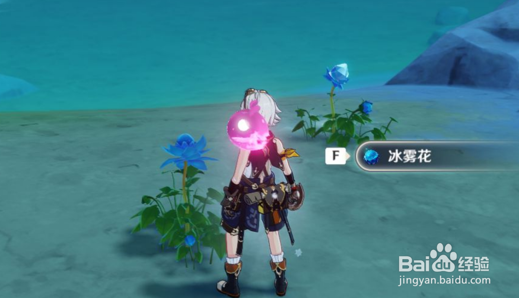 原神冰雾花花朵在哪里获取