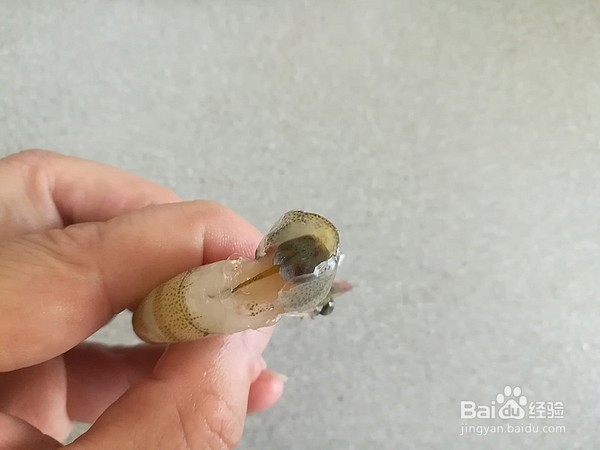 如何做美味的蒜蓉米粉蒸虾