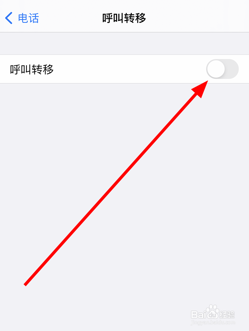 苹果iphone12中怎么打开来电呼叫转移的功能