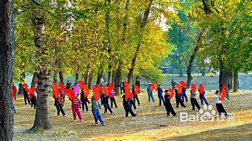 春宜养肝--如何养护我们的肝